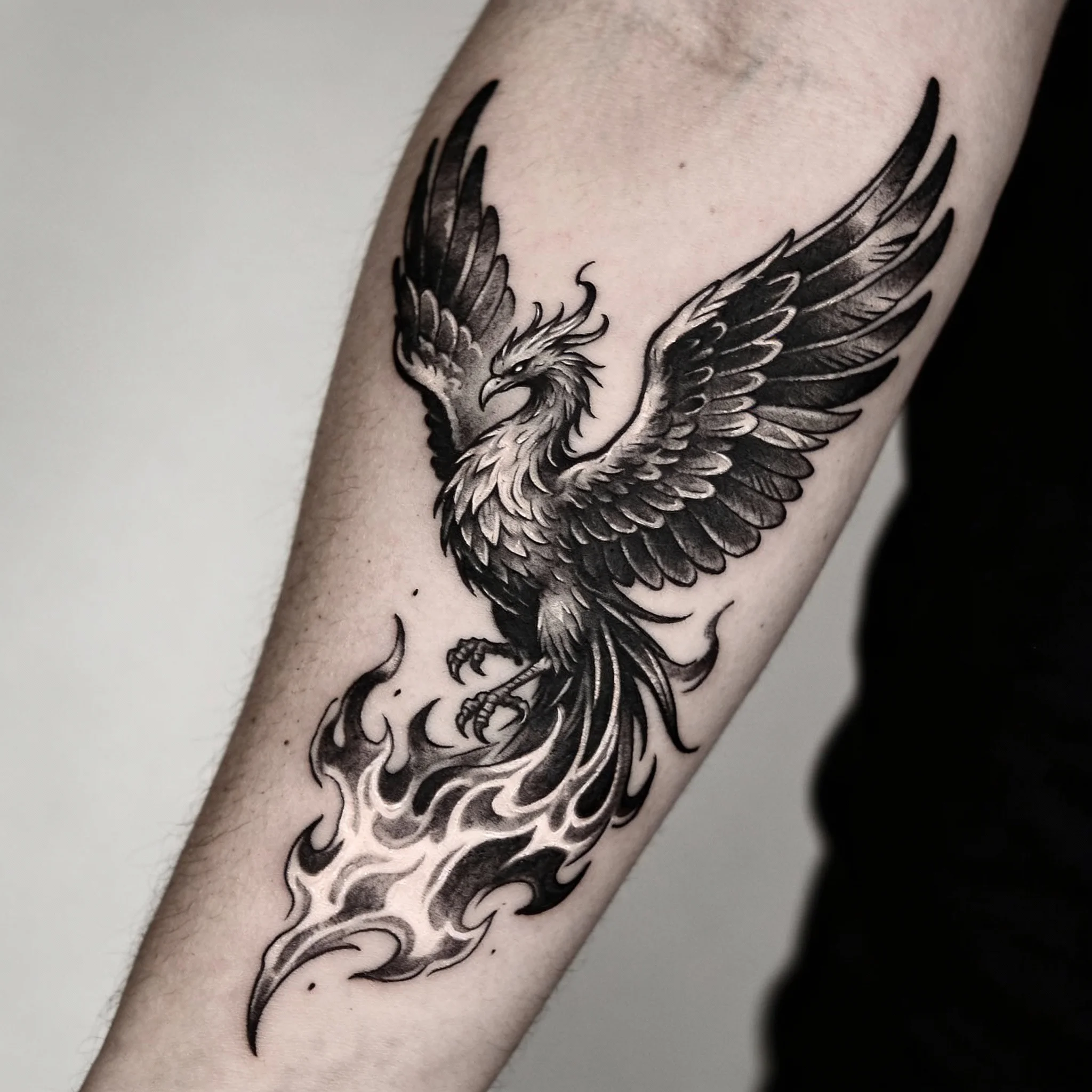Phoenix tattoo design with spread wings and flames