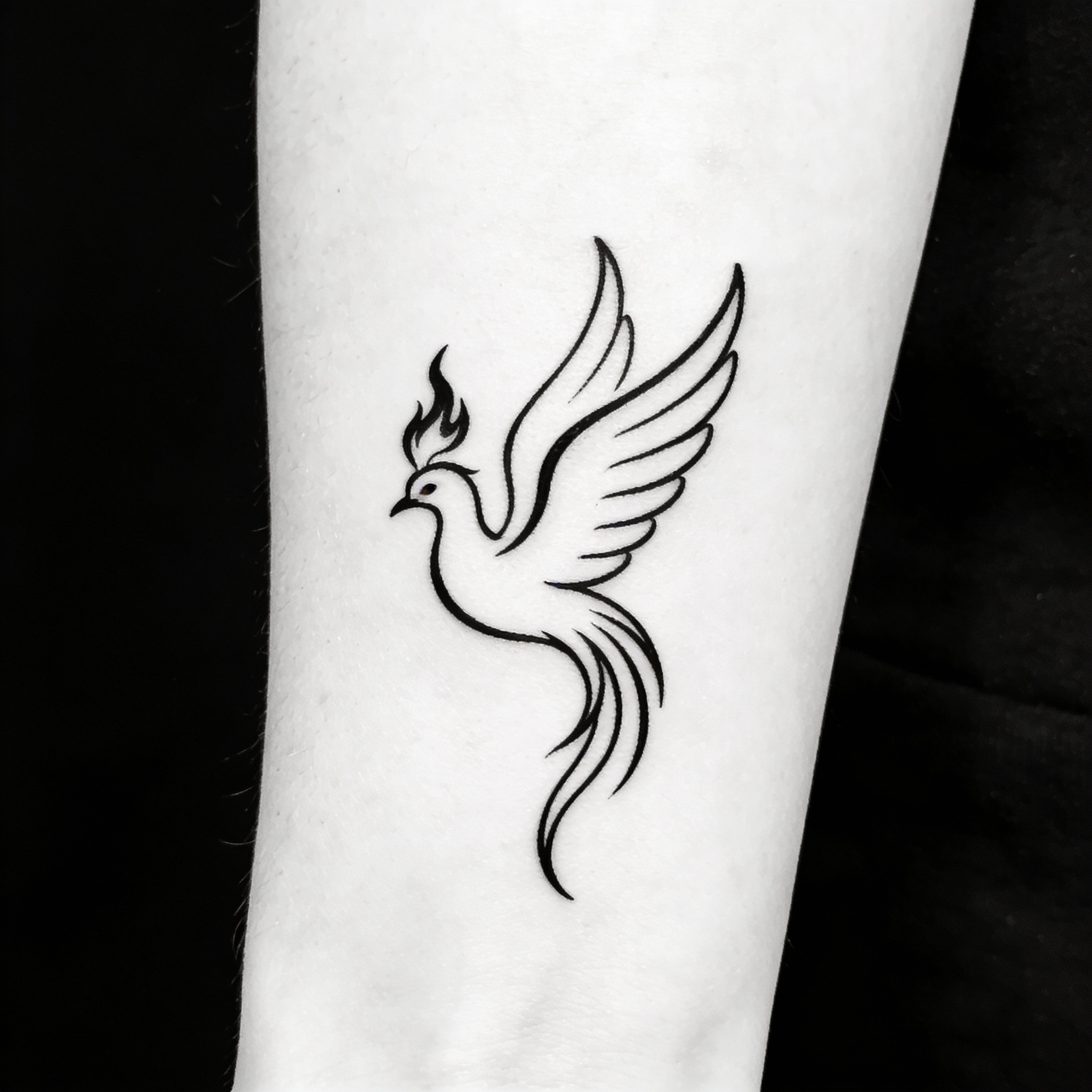 Tiny phoenix with streamlined body and curved wings